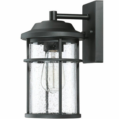 1 Light Black Coastal Barn Dome Outdoor Wall Lantern Clear Glass