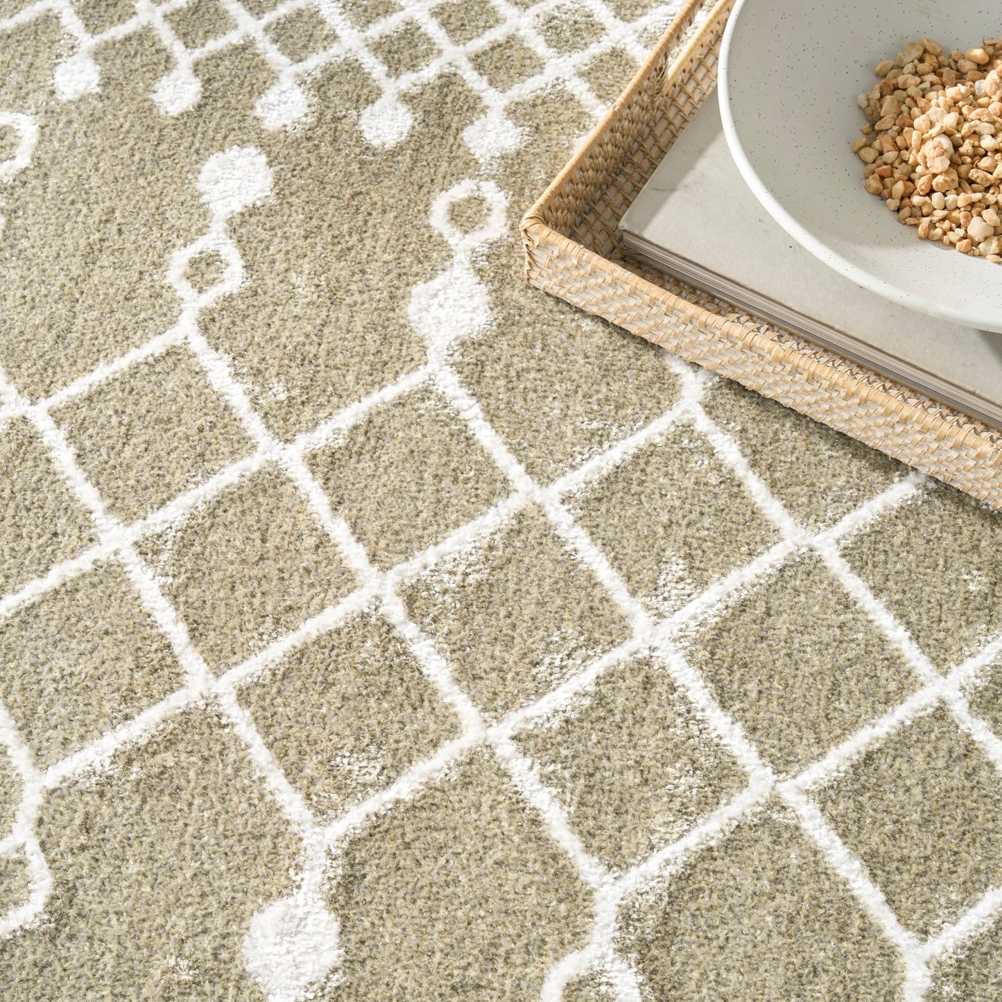 Nourison Astra Machine Washable Moroccan Area Rug