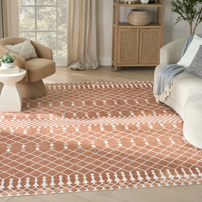 Nourison Astra Machine Washable Moroccan Area Rug