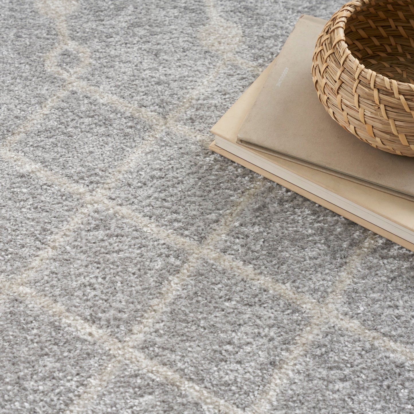 Nourison Astra Machine Washable Moroccan Area Rug