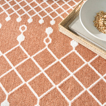 Nourison Astra Machine Washable Moroccan Area Rug